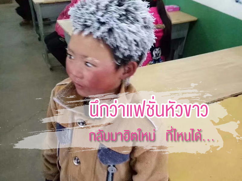 หัวขาวโพลน!! มองแว่บแรกนึกว่าแฟชั่นใหม่ ที่ไหนได้… คือสงสารน้อง