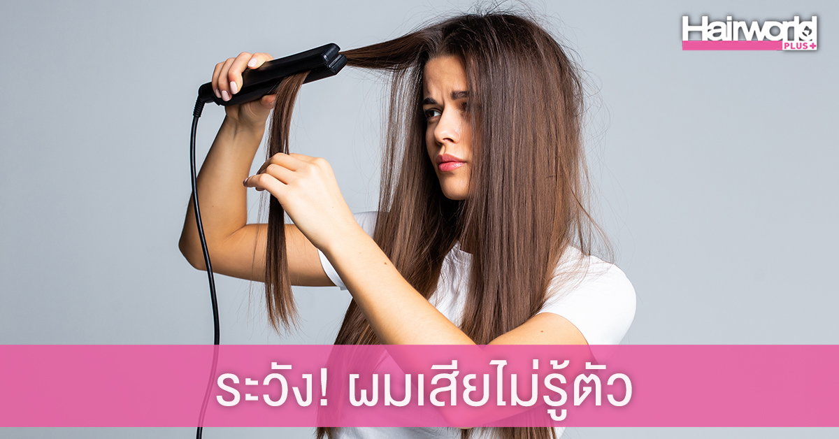 ระวัง! หนีบผมแบบผิดๆ ผมเสียไม่รู้ตัว