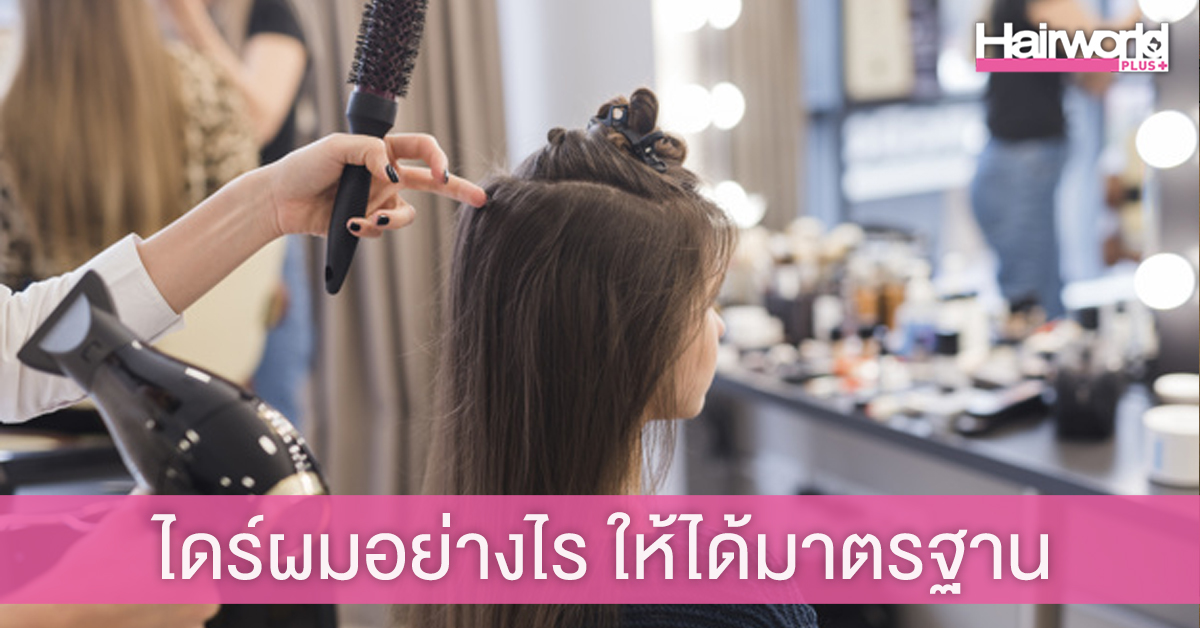 เทคนิคการไดร์ผม ให้ได้มาตรฐานอาชีพธุรกิจเสริมสวย