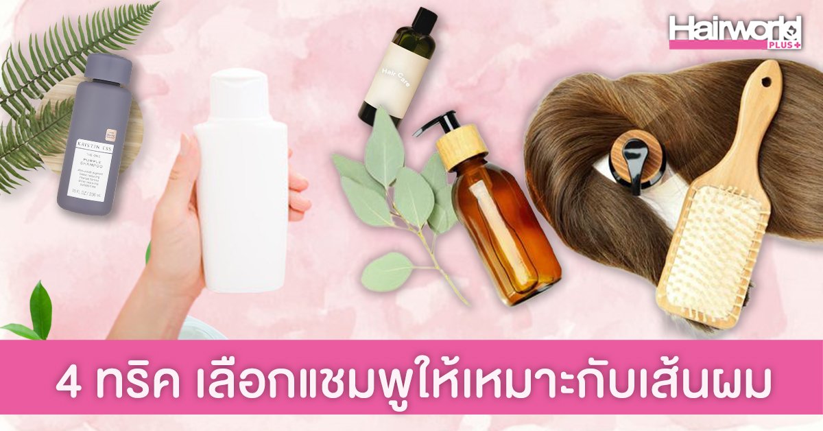 ผมสวยสุขภาพดี ด้วย 4 ทริค เลือกแชมพูให้เหมาะกับเส้นผม
